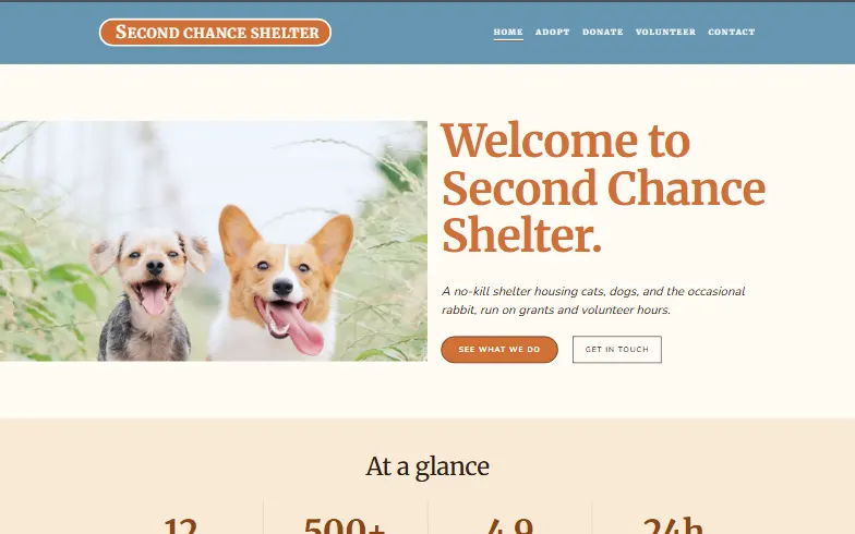 The home page of the Animal Shelter template