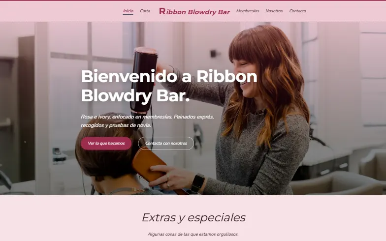 La página de inicio de la plantilla Bar de Secados