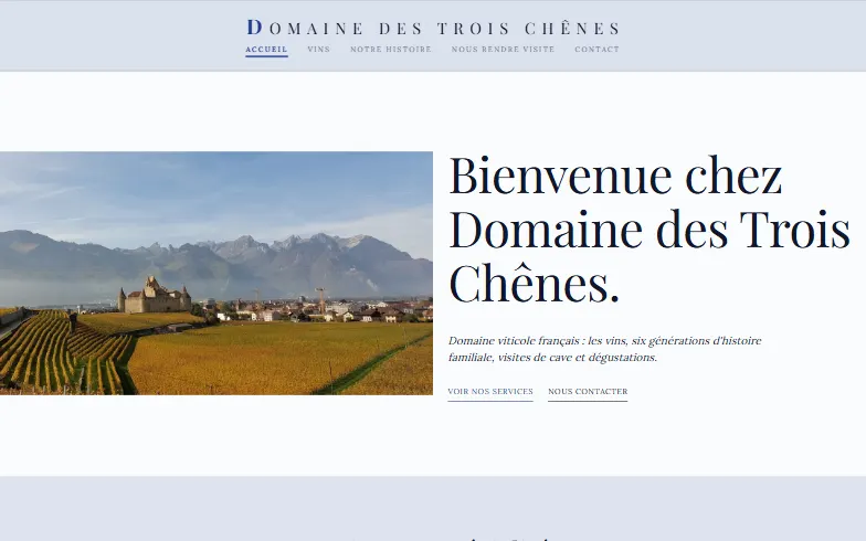 La page d’accueil du modèle Domaine Viticole et Château