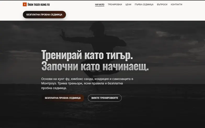 Началната страница на шаблона Iron Tiger Kung Fu