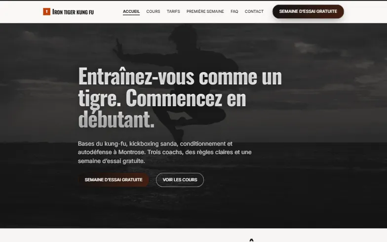 La page d’accueil du modèle Iron Tiger Kung Fu