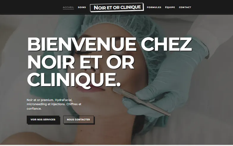 La page d’accueil du modèle Clinique de Beauté de Luxe