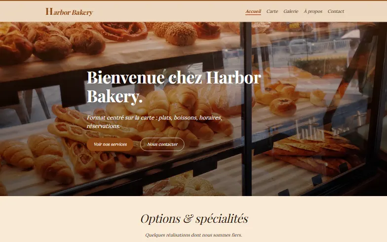 La page d’accueil du modèle Format Menu