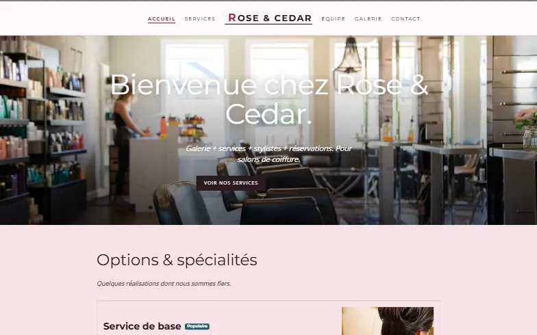 La page d’accueil du modèle Salon