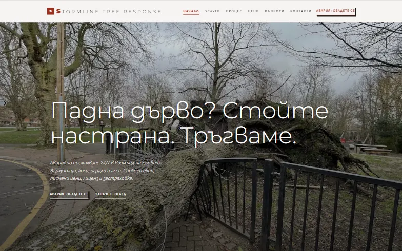 Началната страница на шаблона Stormline Tree Response