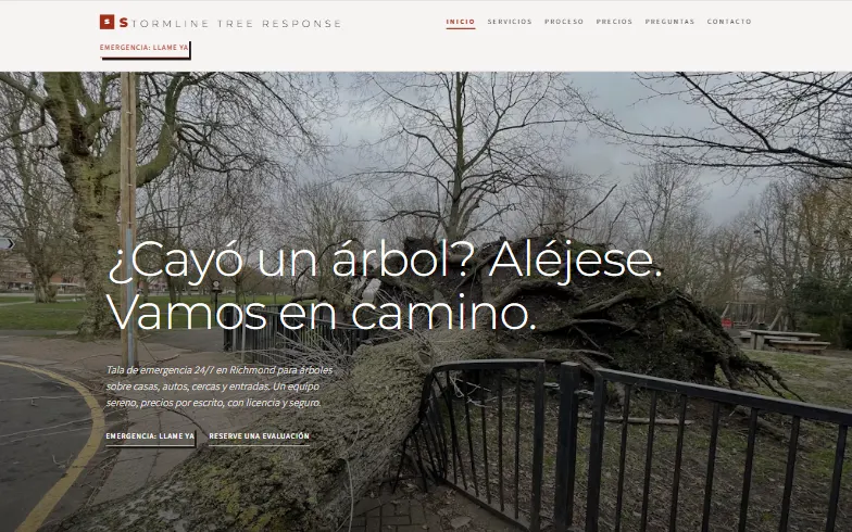 La página de inicio de la plantilla Stormline Tree Response