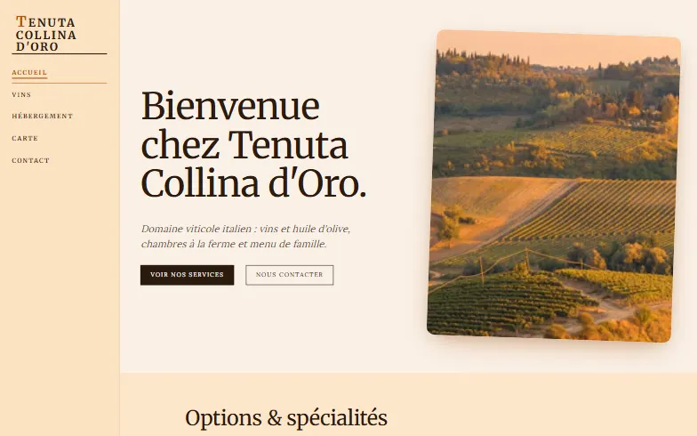 La page d’accueil du modèle Agritourisme Viticole