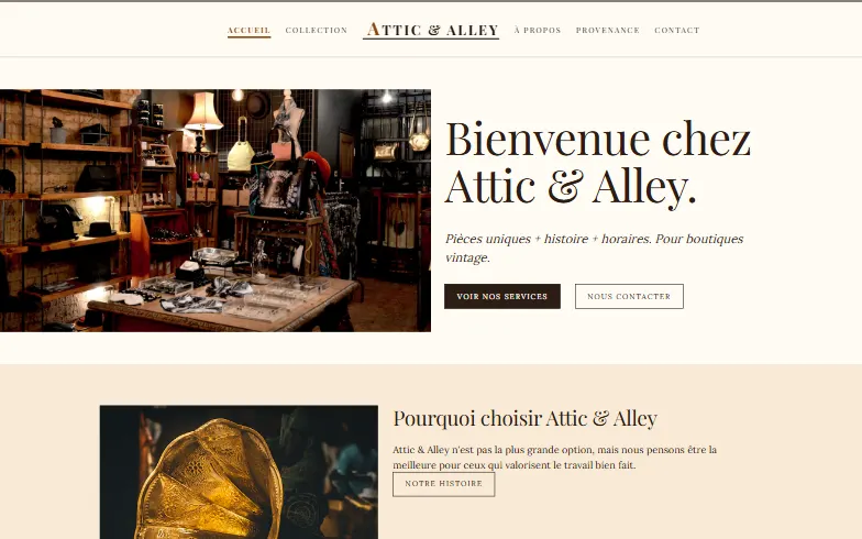 La page d’accueil du modèle Boutique Vintage